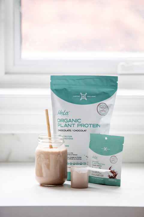 Chocolate  |  Organic Plant Protein