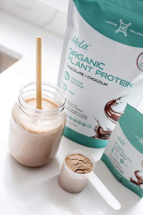 Chocolate  |  Organic Plant Protein