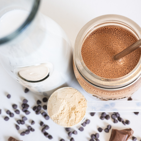 HeLa Chocolate Singles  |  Organic Plant Protein