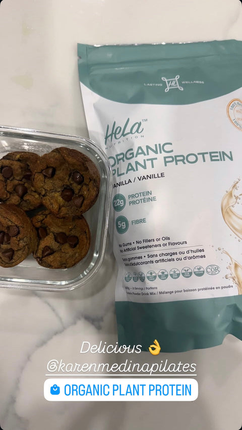 HeLa Seeded Protein Muffins