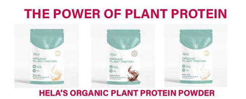 The Power of Plant Protein