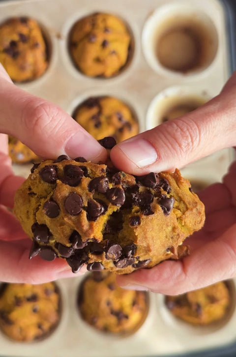 Maple pumpkin protein muffins made with HeLa protein powder