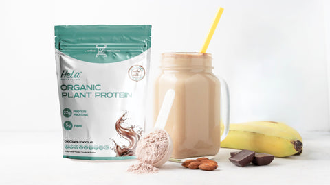 Chocolate  |  Organic Plant Protein