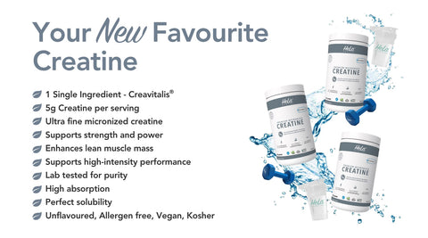 Premium Micronized Creatine