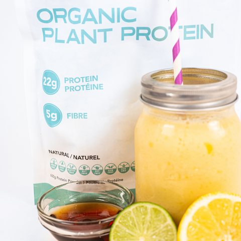 Natural  |  Organic Plant Protein